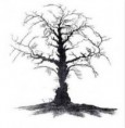 /album/fotogaleria-inicio/caras-en-el-arbol-jpg/